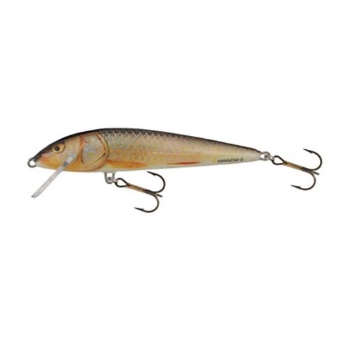 Vobler Salmo Minnow M5S RR